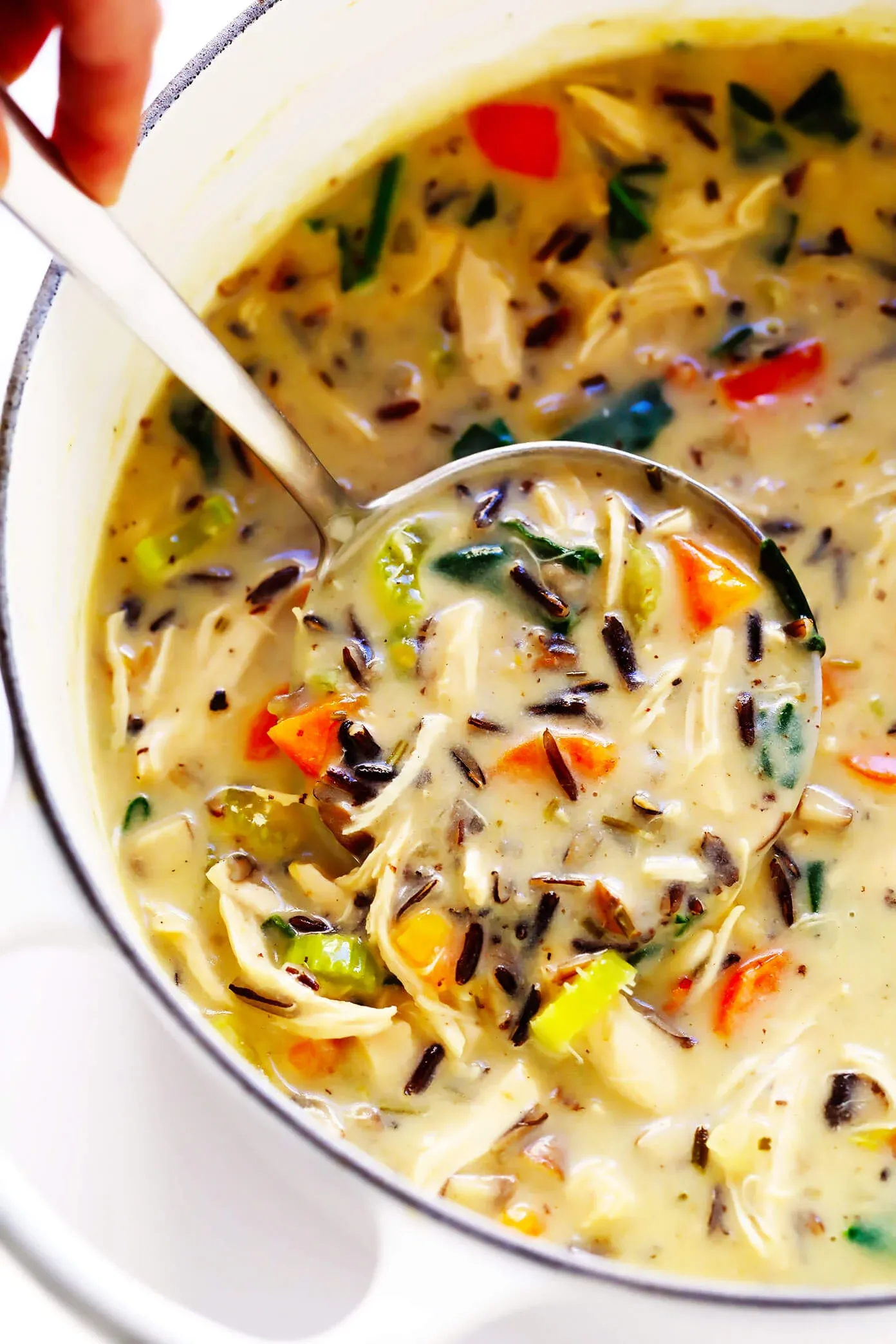 Chicken and Wild Rice Soup Recipe