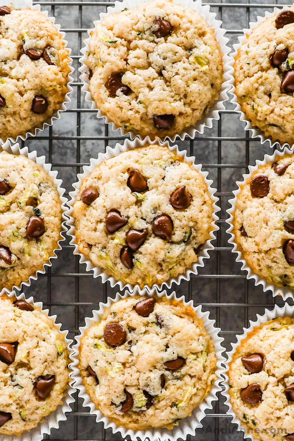 Chocolate Chip Zucchini Muffins