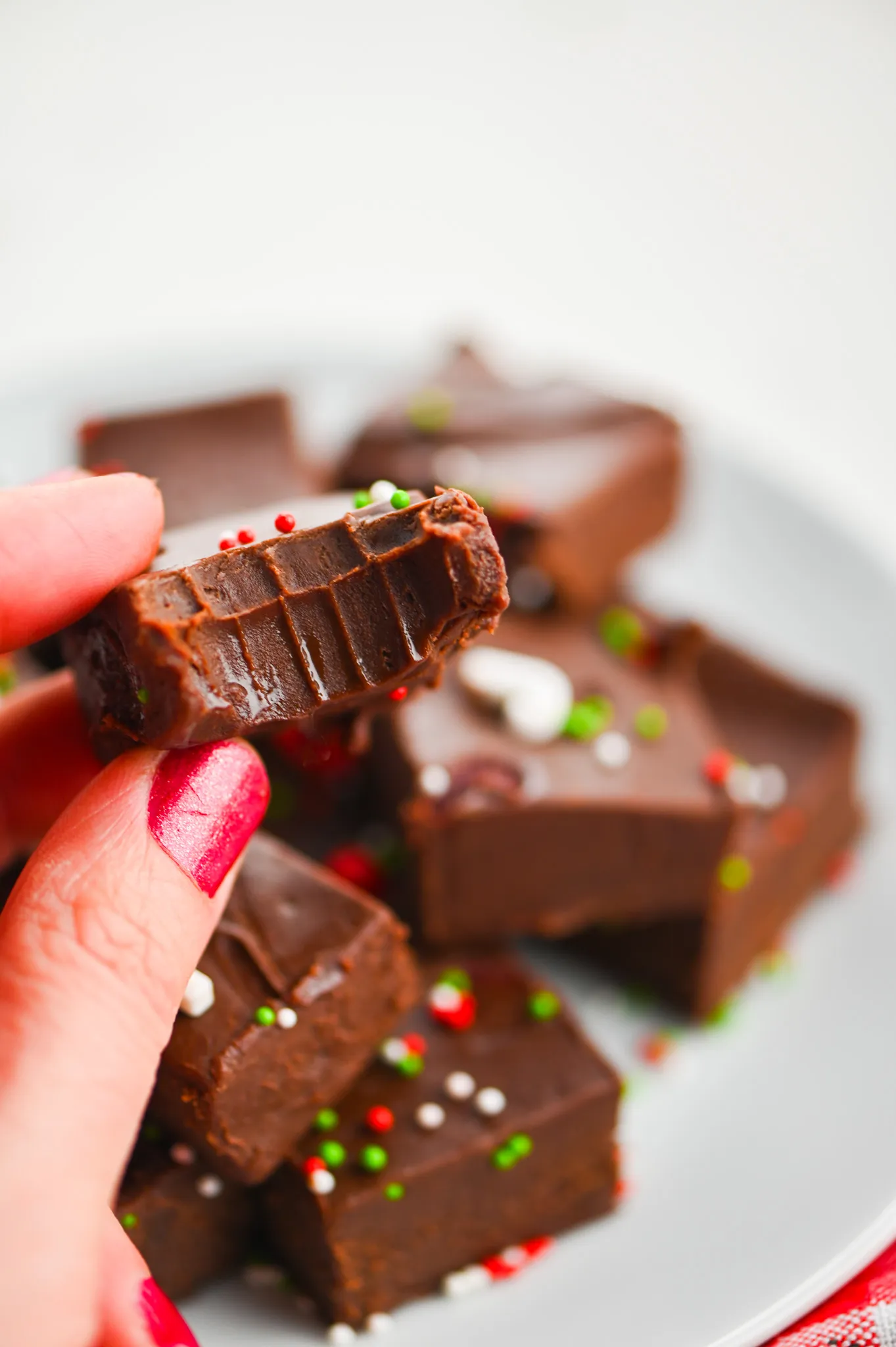 Double Chocolate Mint Fudge