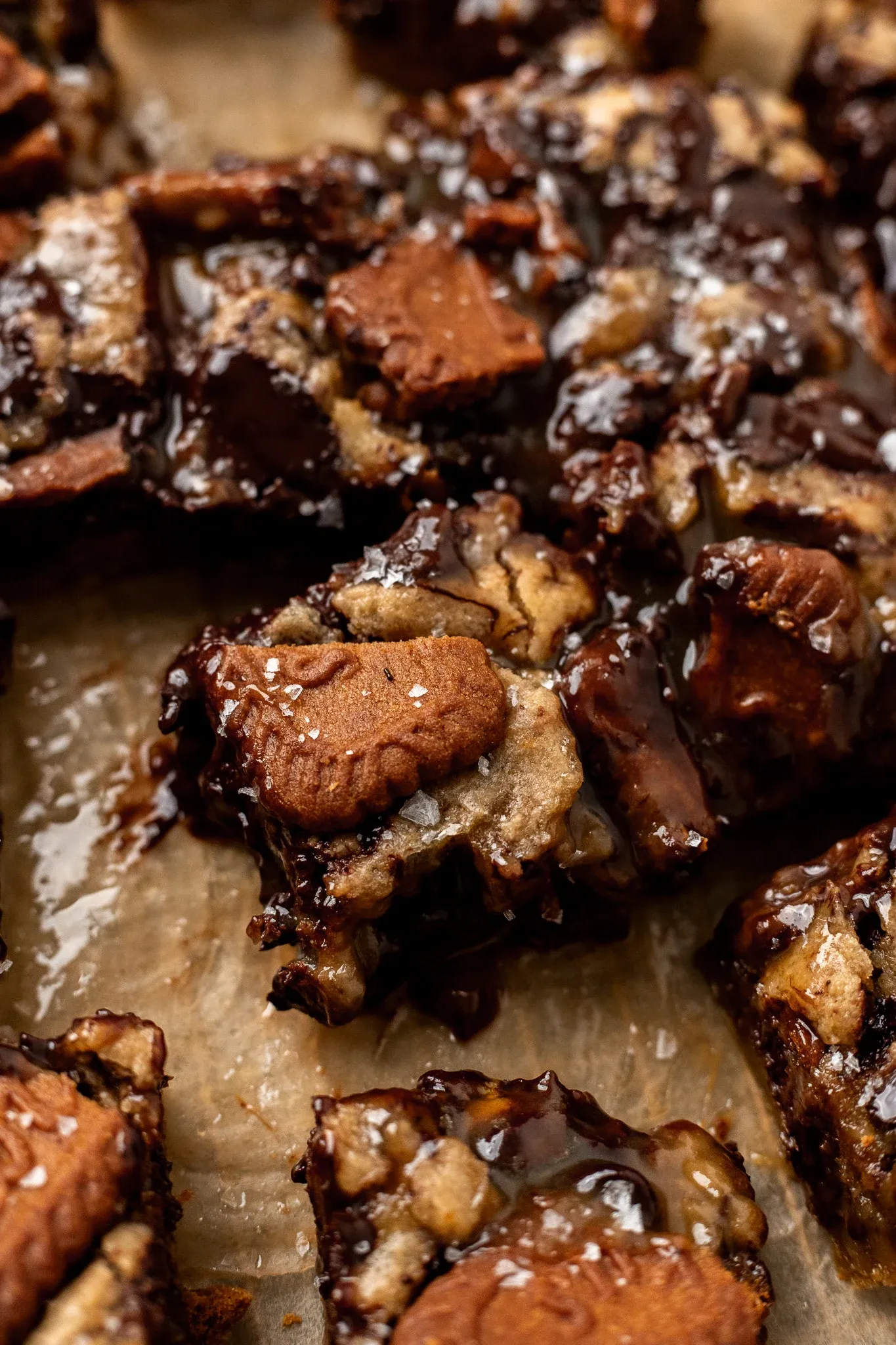 Gooey Vegan Biscoff Butterscotch Cookie Bars