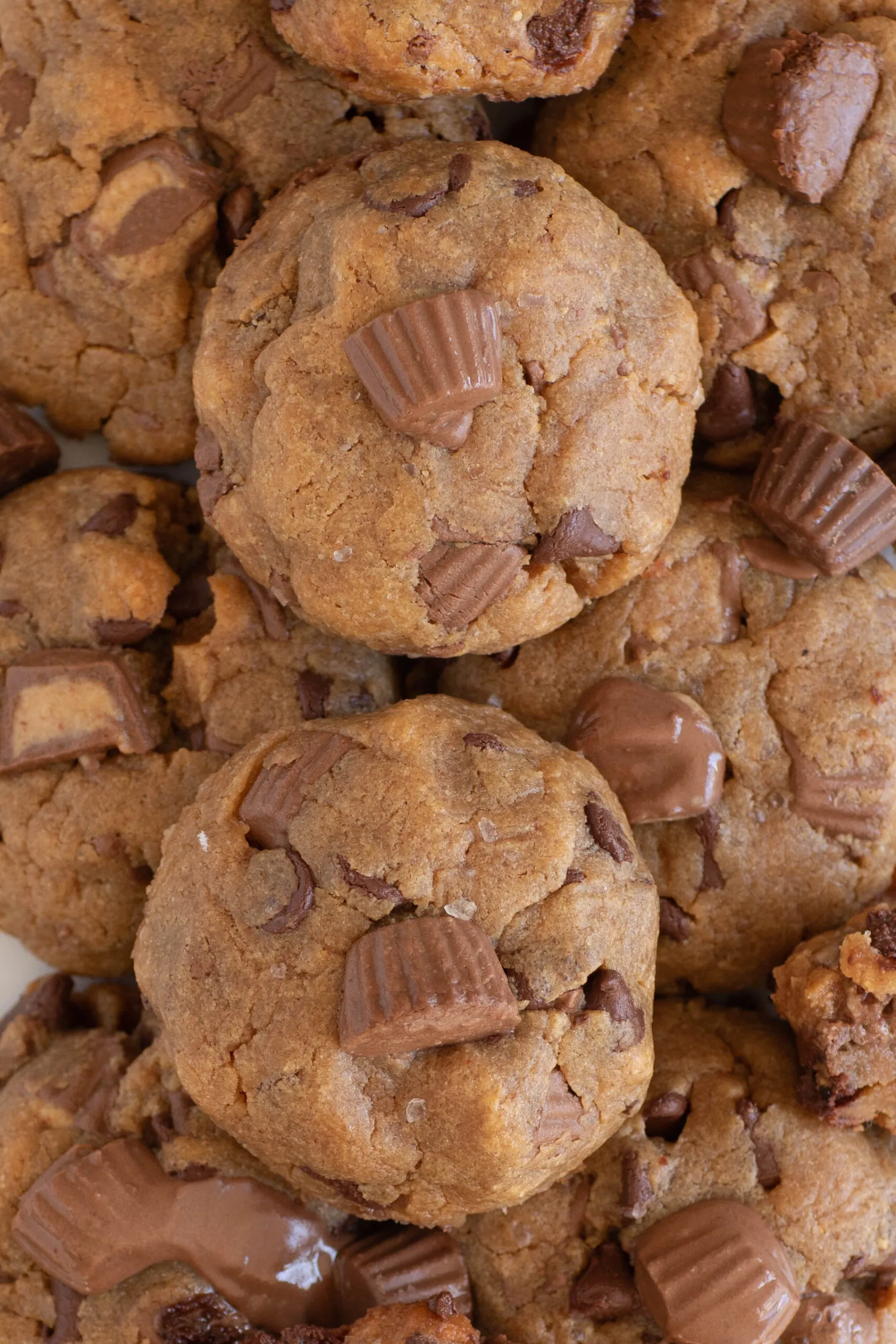 Peanut Butter Cup Cookies